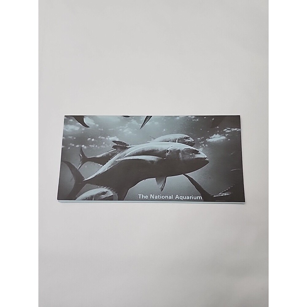 1973 National Aquarium Washington DC Fish Vintage Tourist Travel Brochure